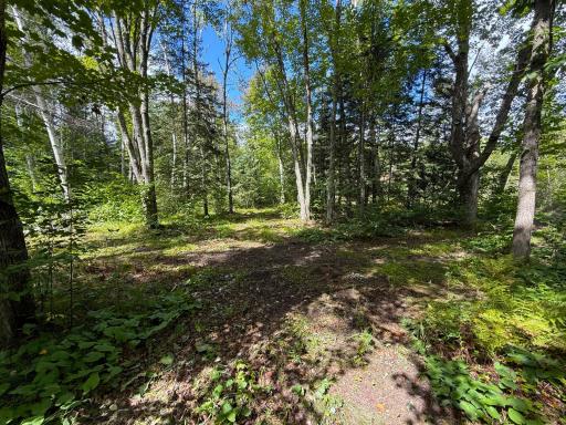 XXX 350th Avenue, Hill City, MN 55748