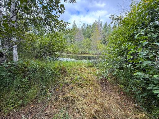 XXX 350th Avenue, Hill City, MN 55748