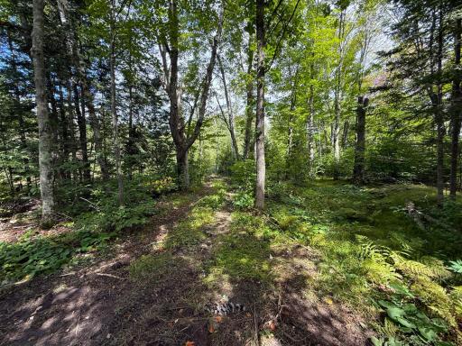 XXX 350th Avenue, Hill City, MN 55748