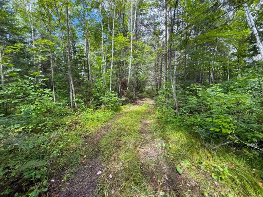 XXX 350th Avenue, Hill City, MN 55748