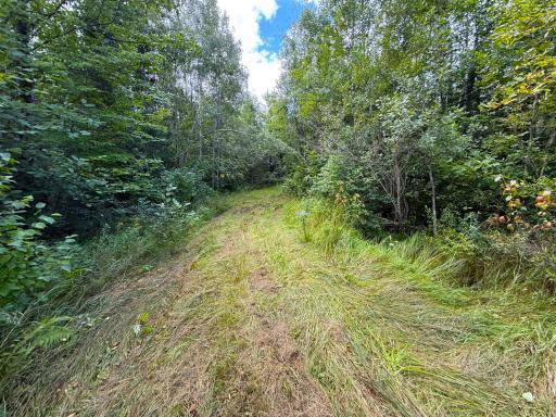 XXX 350th Avenue, Hill City, MN 55748
