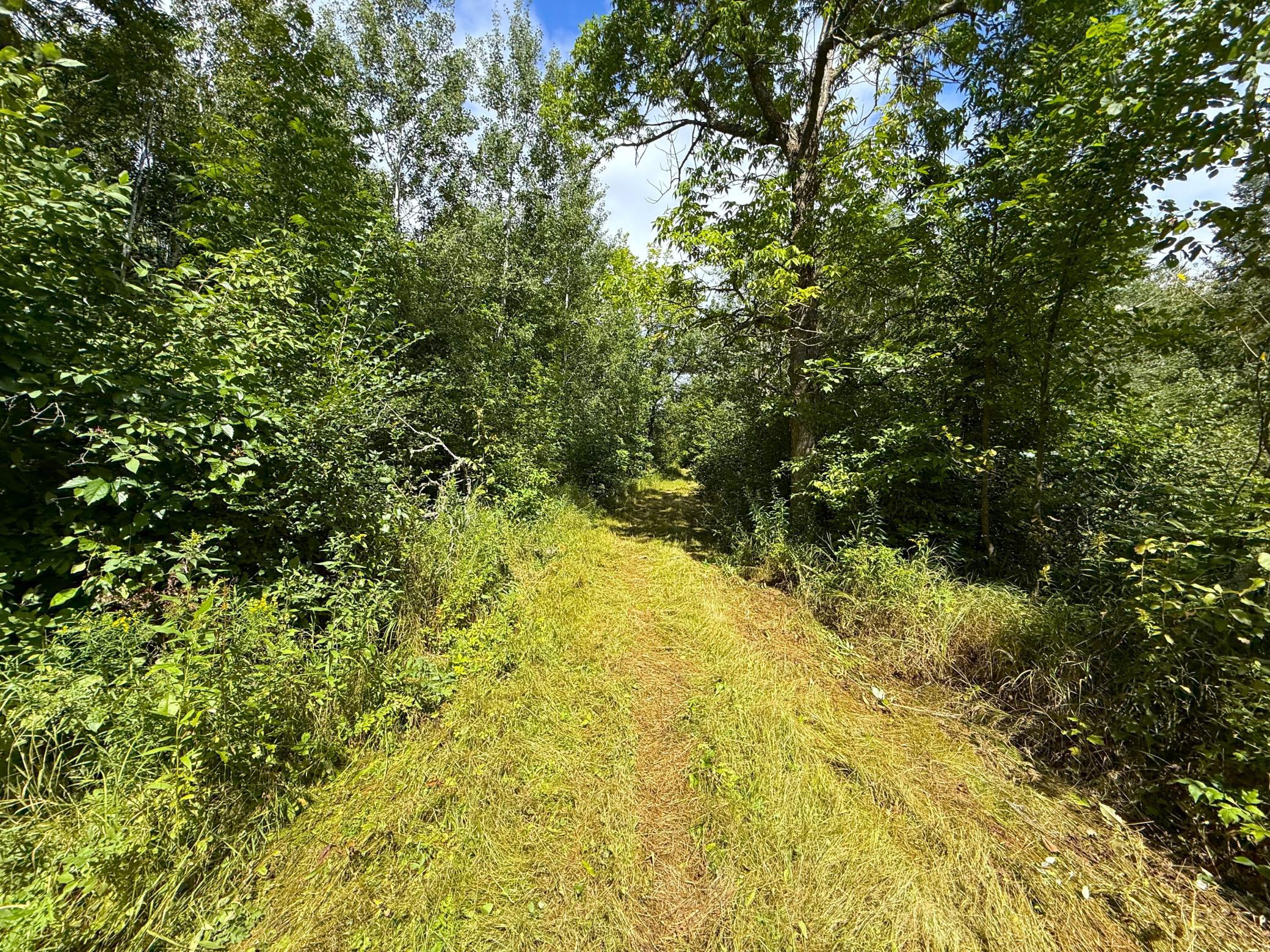 IMG_2730.JPG