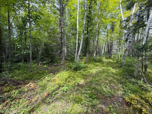 XXX 350th Avenue, Hill City, MN 55748