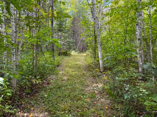 XXX 350th Avenue, Hill City, MN 55748