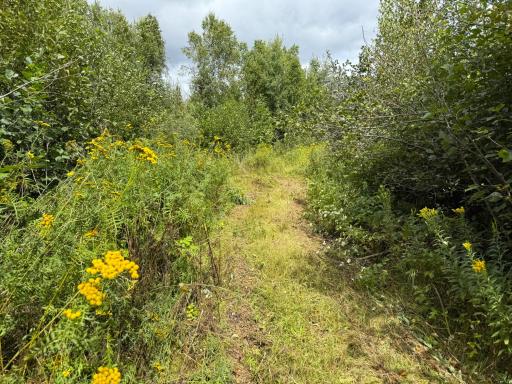 XXX 350th Avenue, Hill City, MN 55748