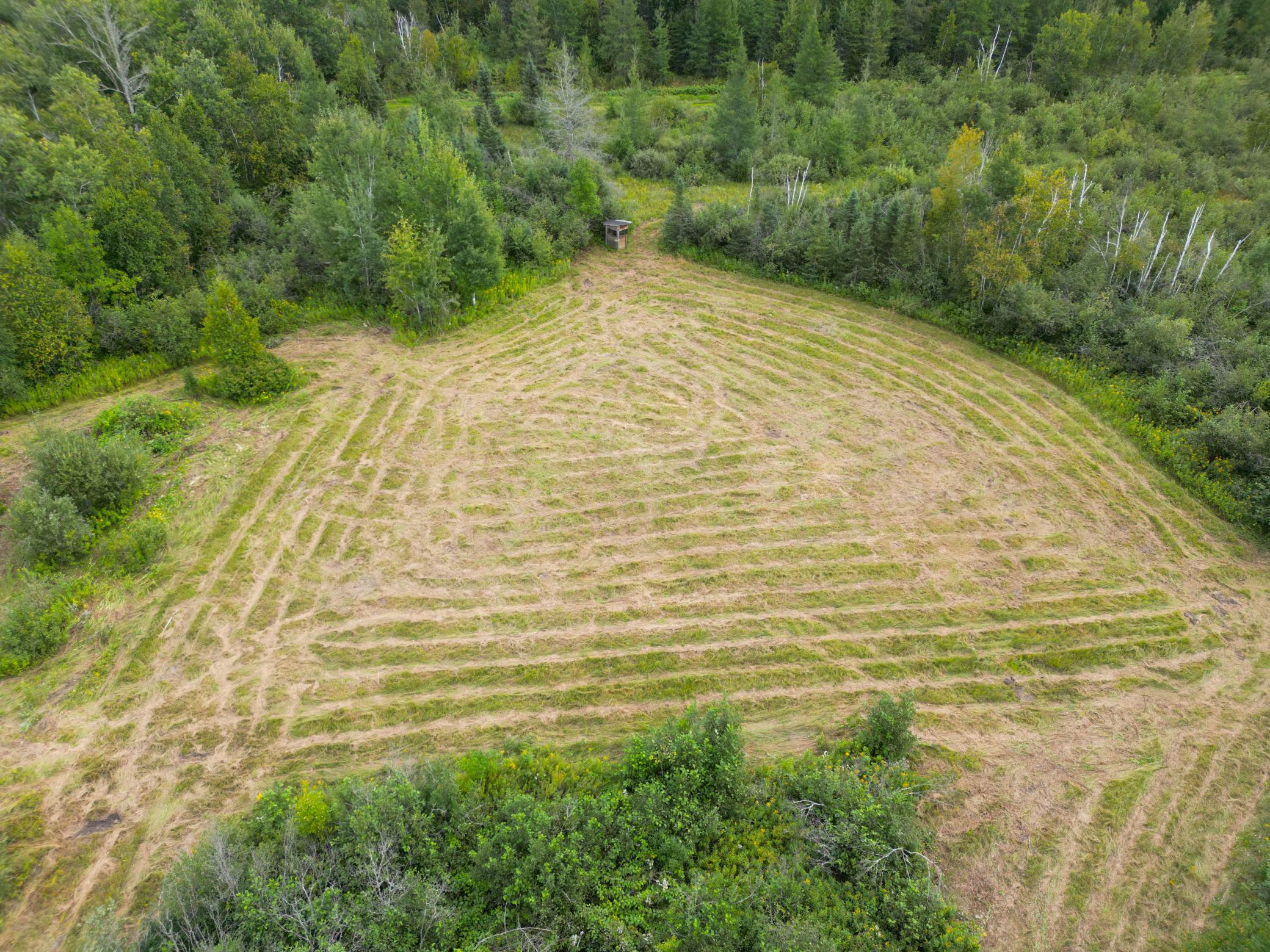 DJI_0901.JPG