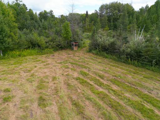 XXX 350th Avenue, Hill City, MN 55748