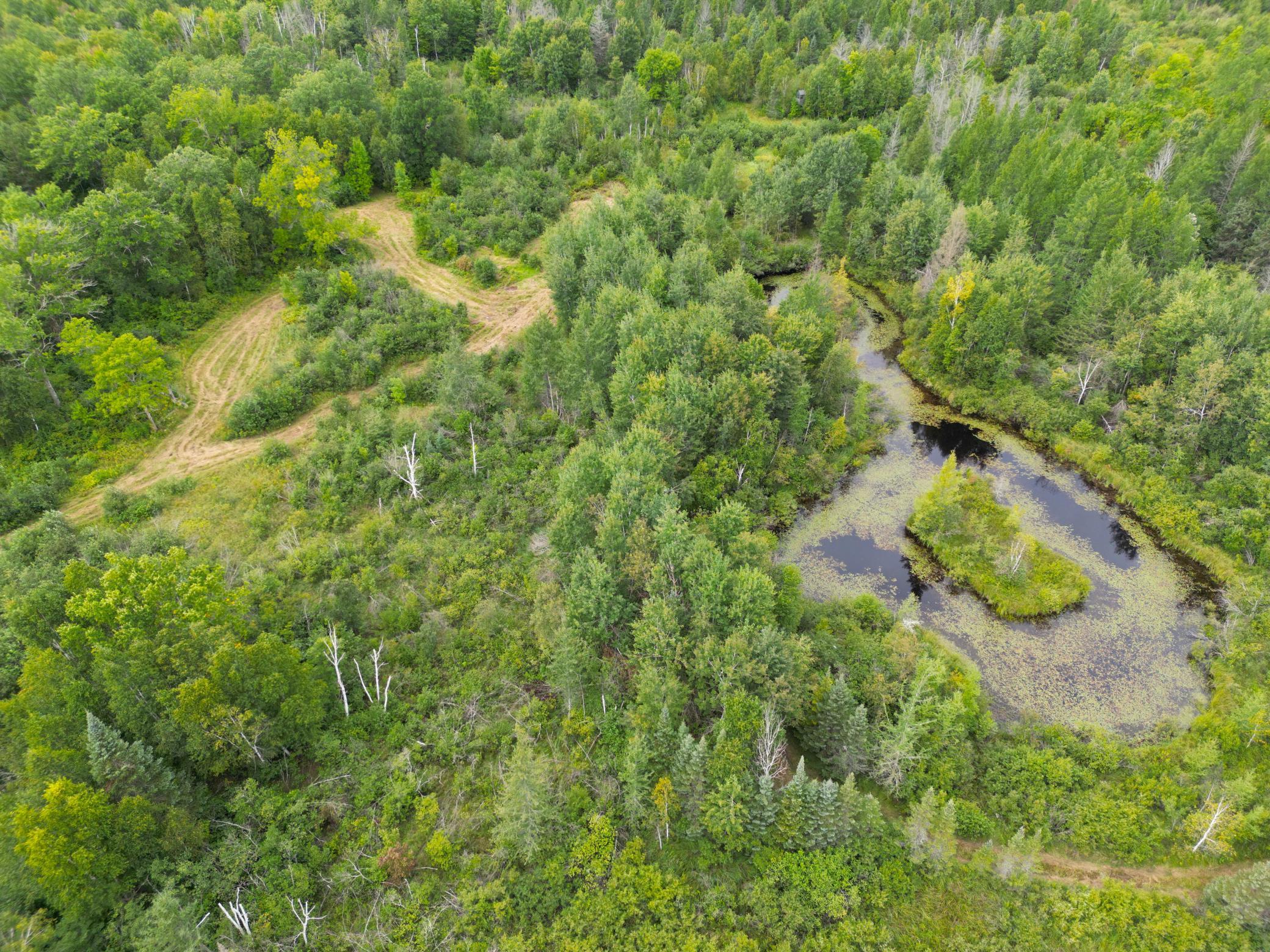 DJI_0897.JPG