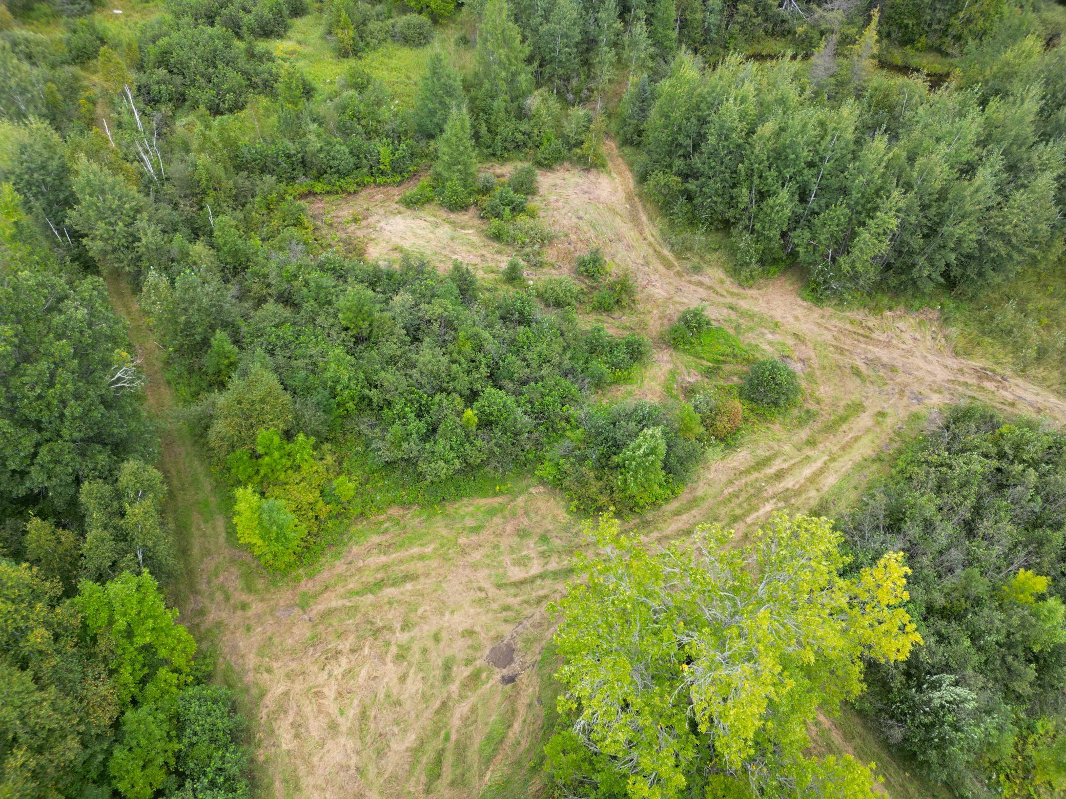 DJI_0907.JPG