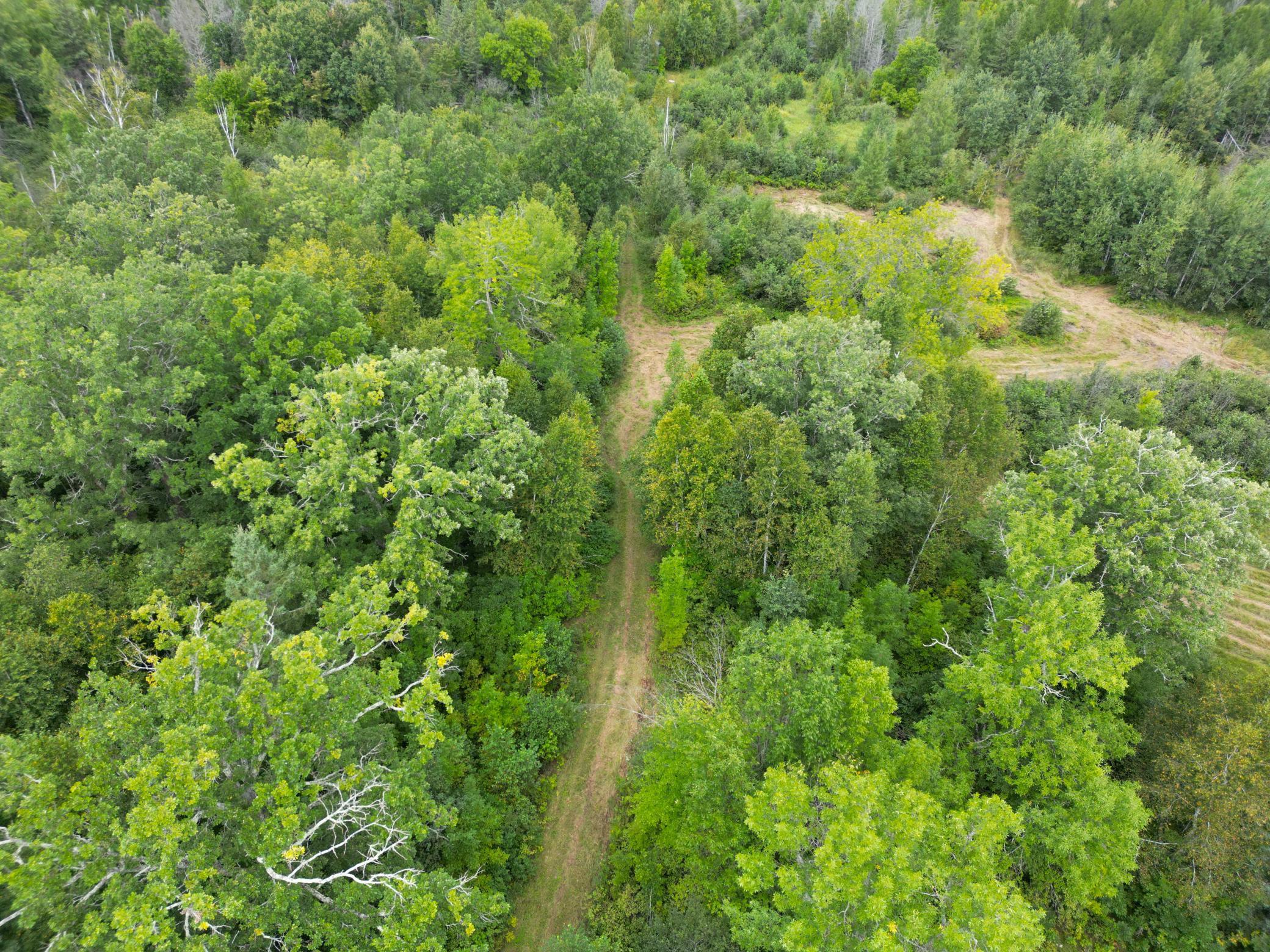 DJI_0906.JPG