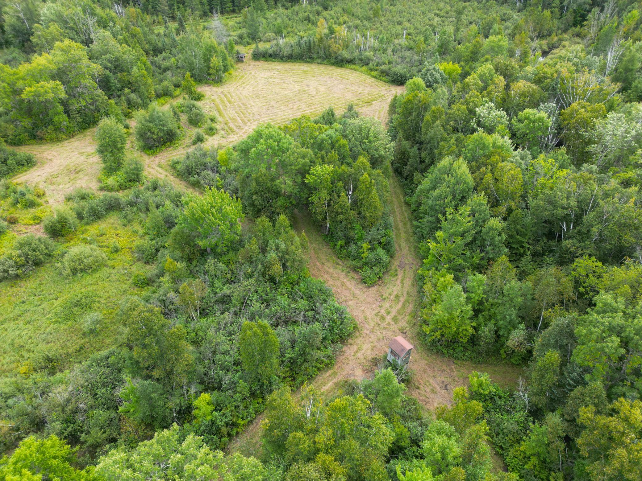 DJI_0900.JPG