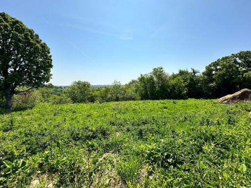 936 Overlook Drive, Preston, MN 55965