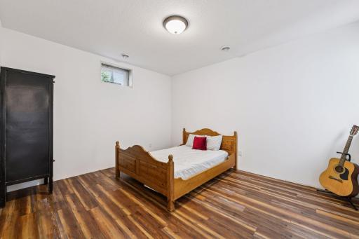 Lower Level Bedroom with egress ad closet