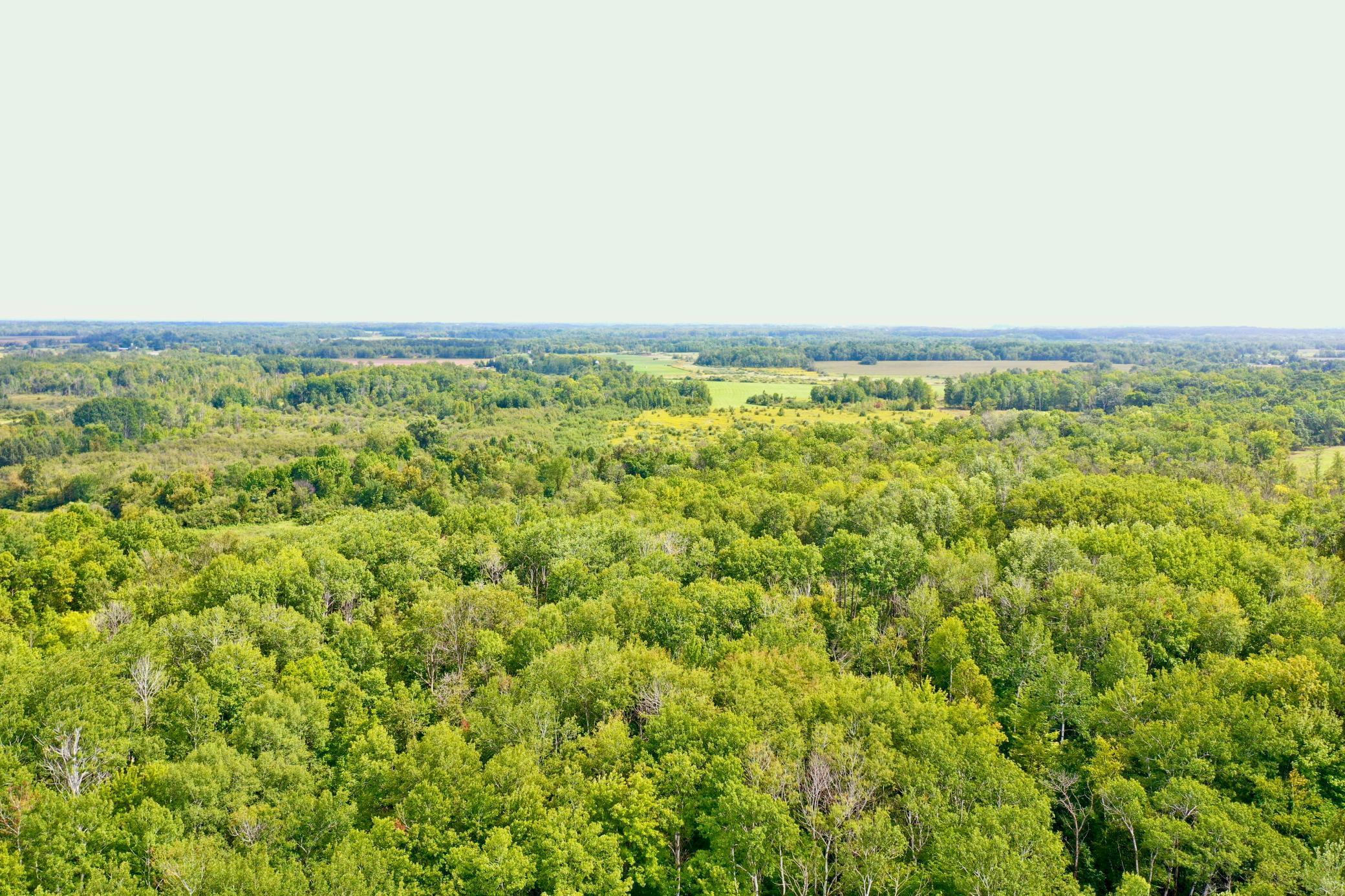 DJI_0082.JPG