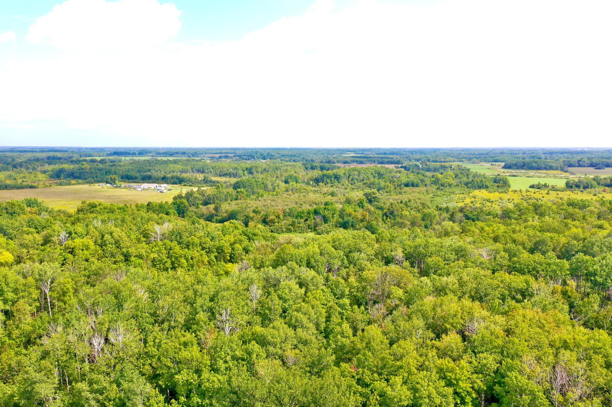 DJI_0081.JPG