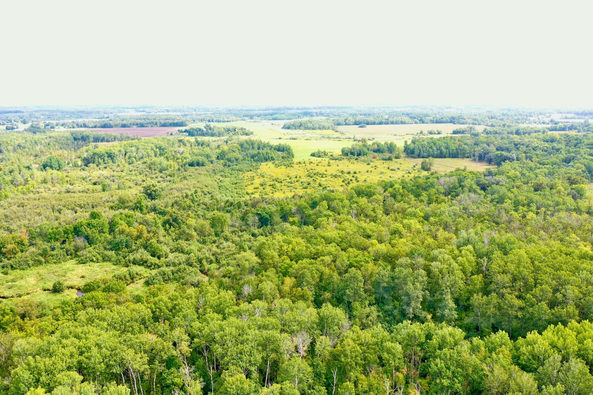 DJI_0086.JPG