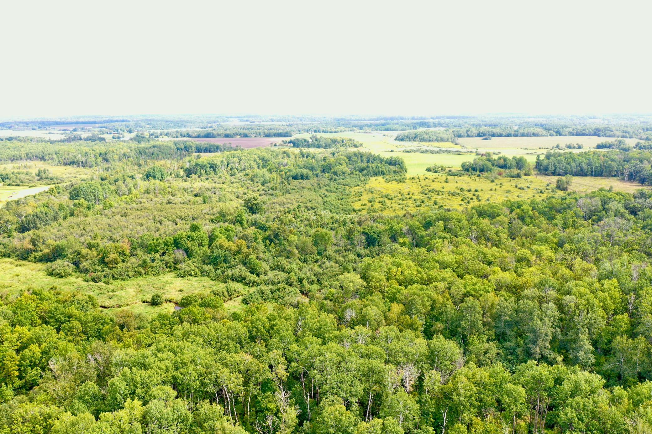 DJI_0085.JPG