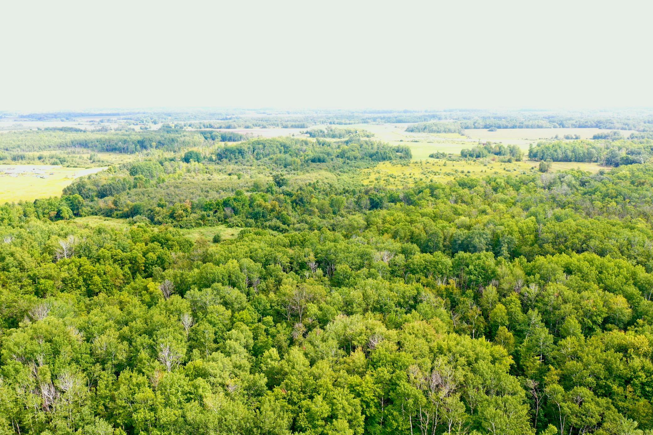 DJI_0084.JPG