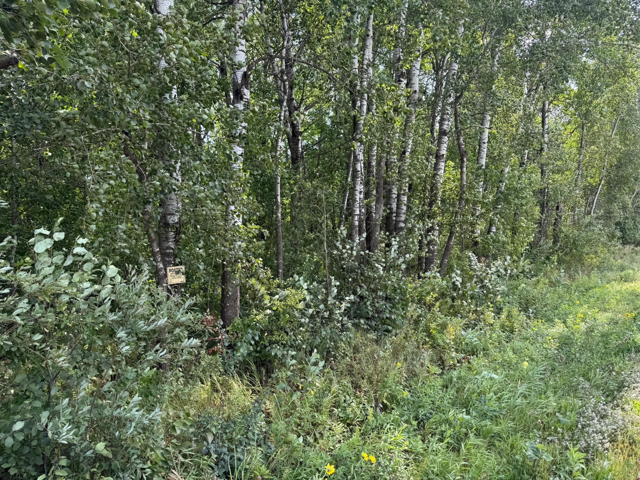 IMG_3976.jpeg