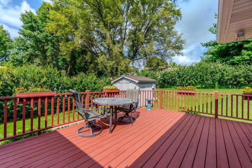 211 Buffalo Run Road, Buffalo, MN 55313