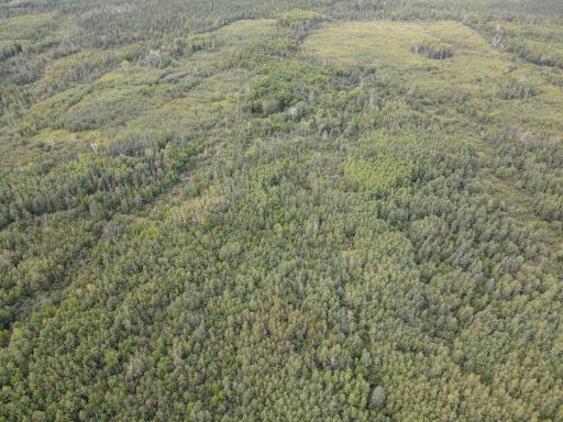 TBD Hwy 65, Nashwauk, MN 55769