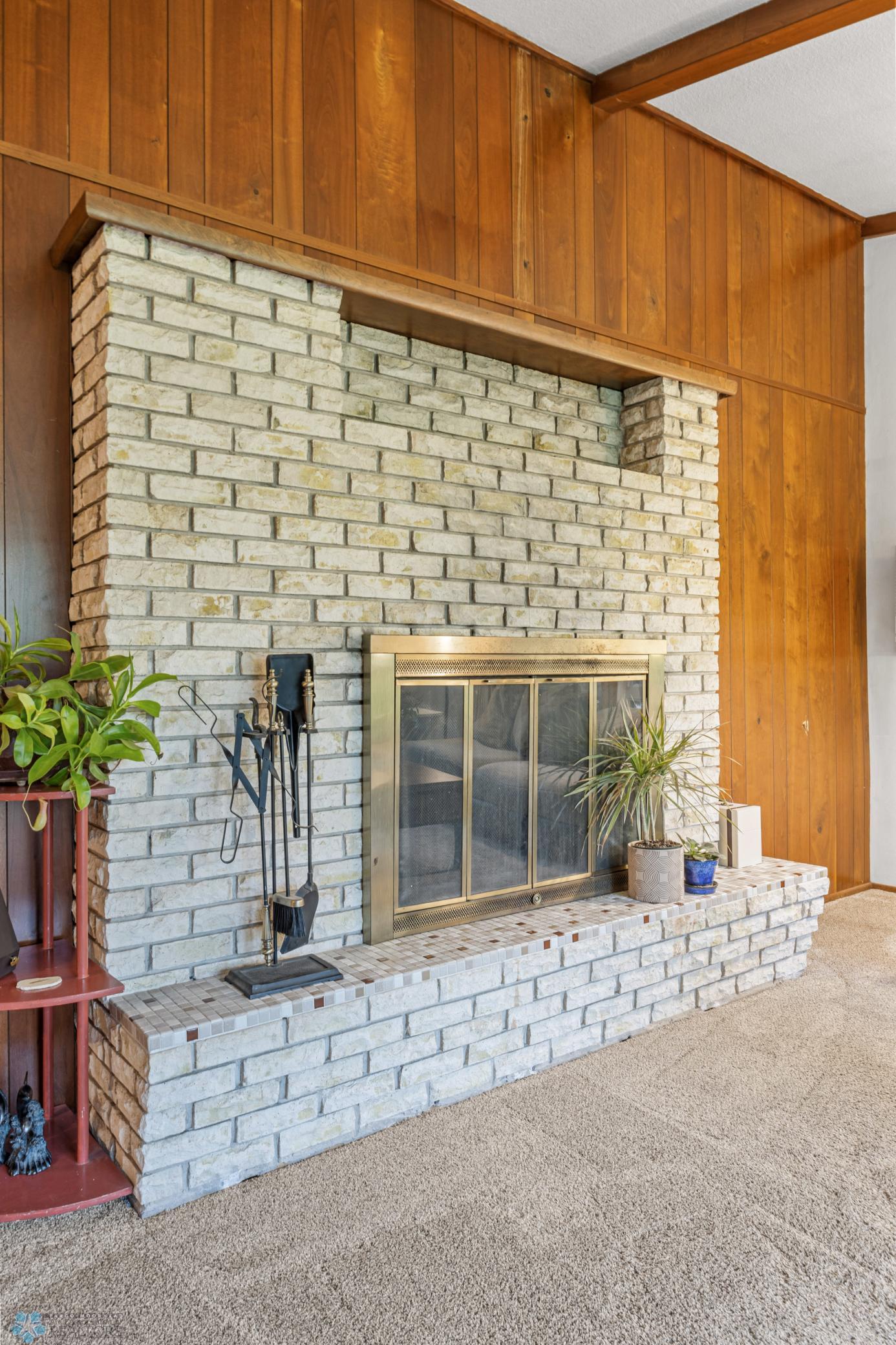 Wood burning fireplace
