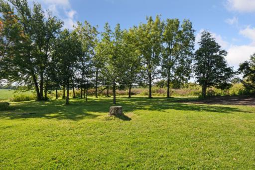 8822 267th Street W, Lakeville, MN 55044