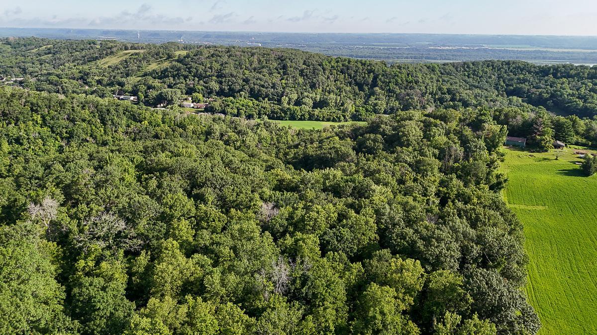 dji_fly_20250708_084654_0516_1752014766311_photo.jpg