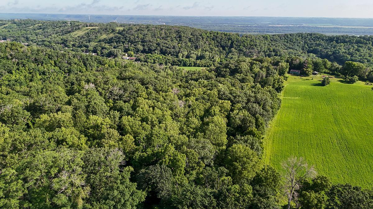 dji_fly_20250708_084706_0517_1752014765913_photo.jpg