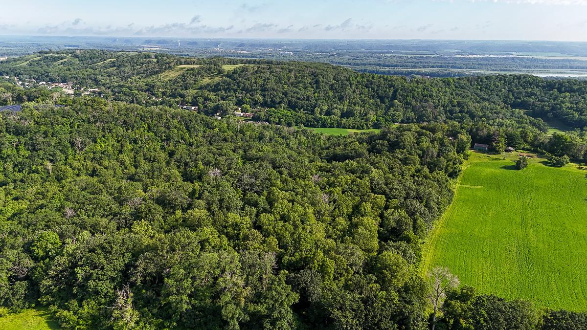 dji_fly_20250708_084726_0518_1752014765481_photo.jpg