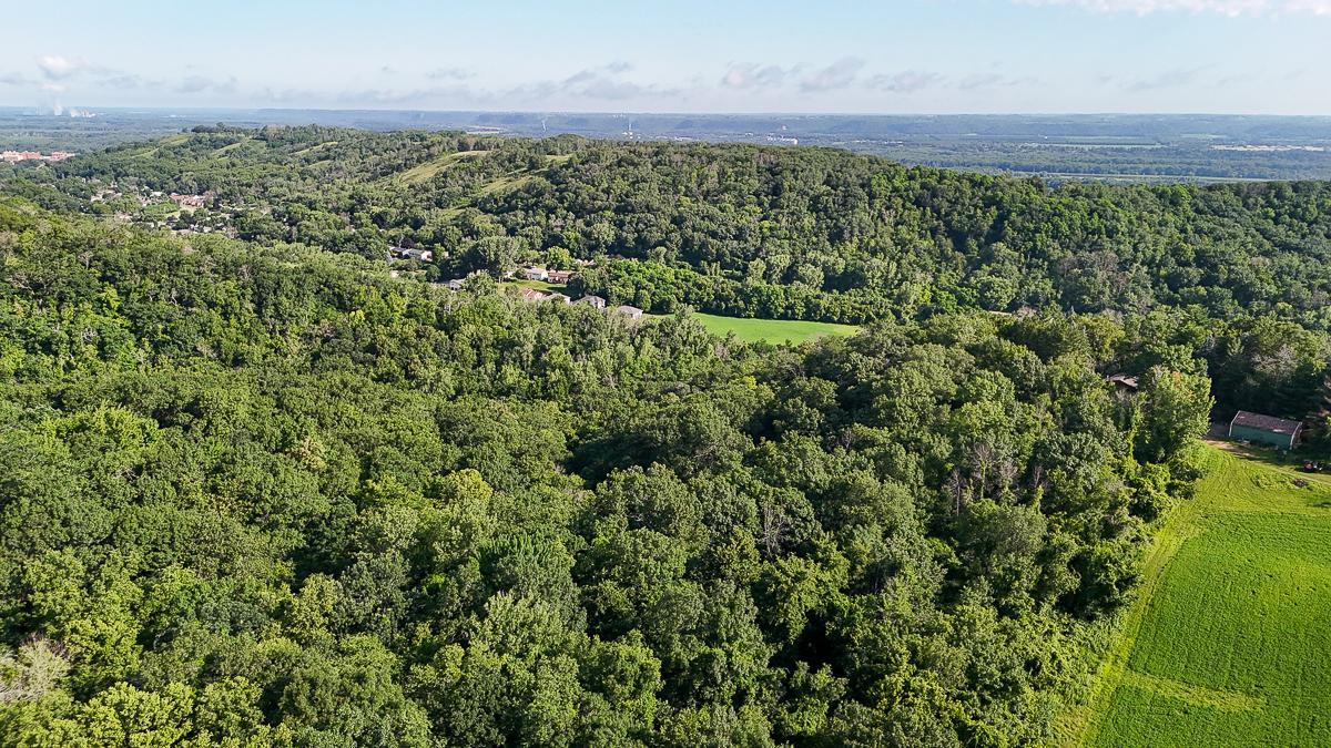 dji_fly_20250708_084942_0520_1752014764753_photo.jpg