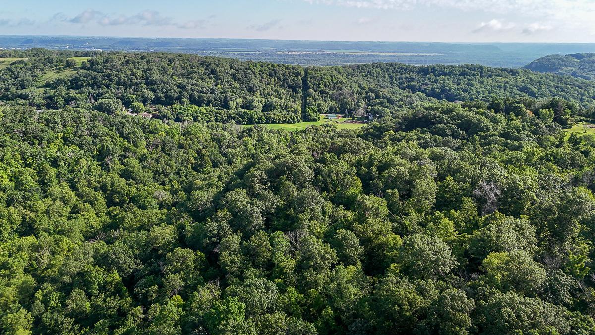 dji_fly_20250708_085106_0522_1752014763929_photo.jpg