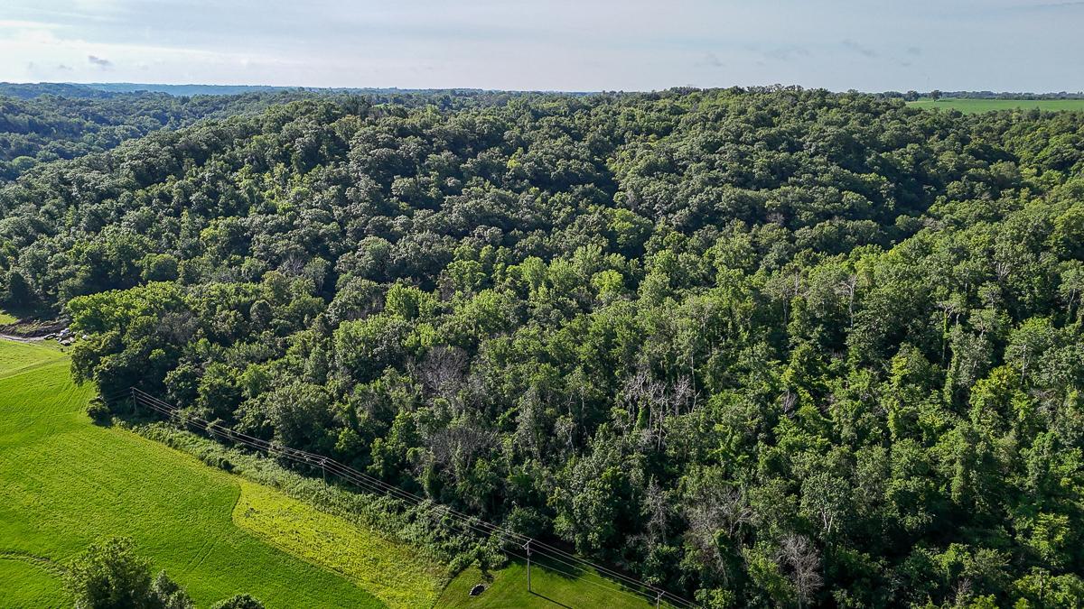 dji_fly_20250708_085404_0533_1752014759170_photo.jpg