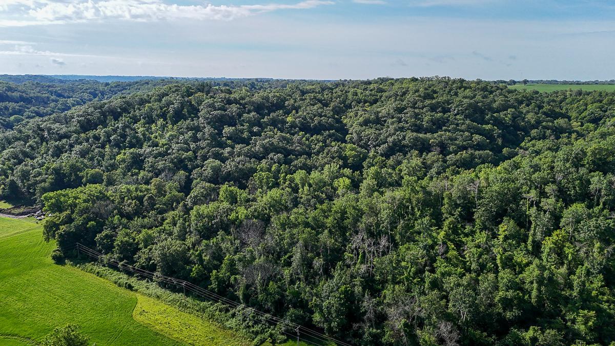 dji_fly_20250708_085406_0534_1752014758802_photo.jpg