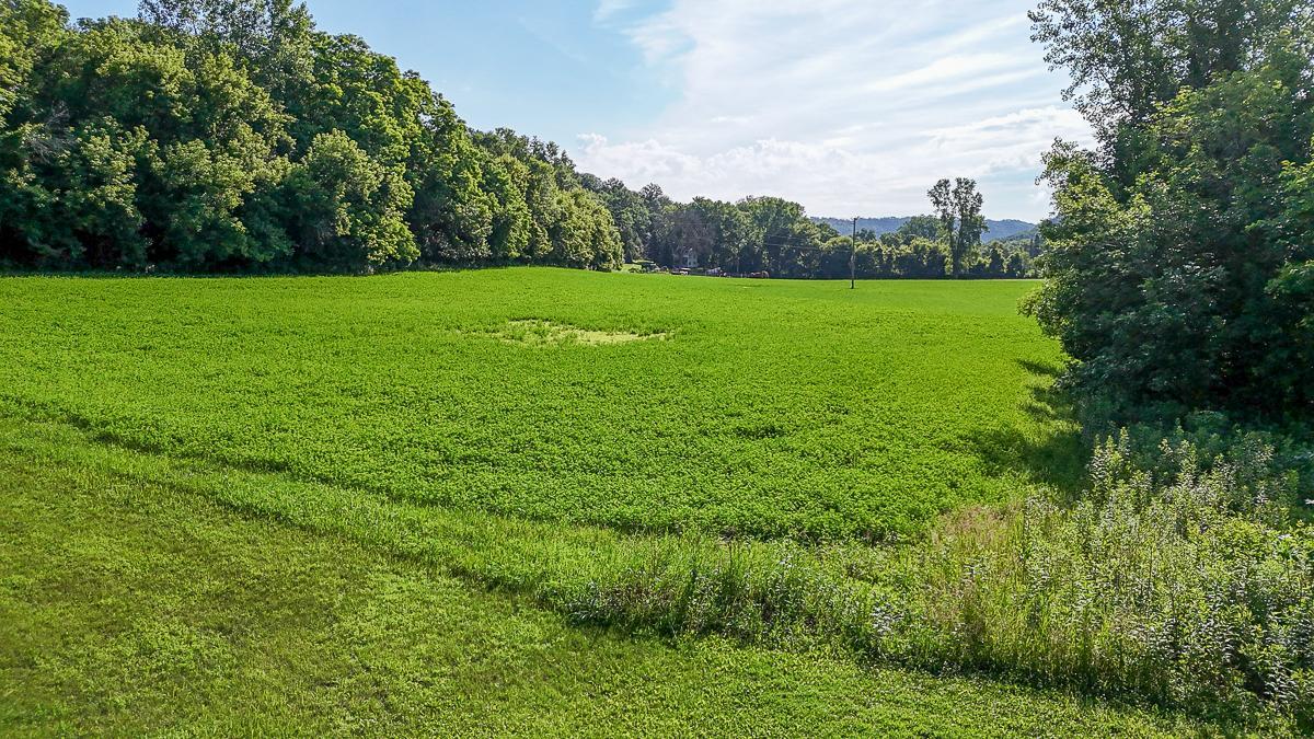 dji_fly_20250708_085824_0557_1752014748781_photo.jpg