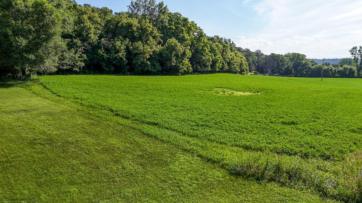 dji_fly_20250708_085826_0558_1752014748393_photo.jpg