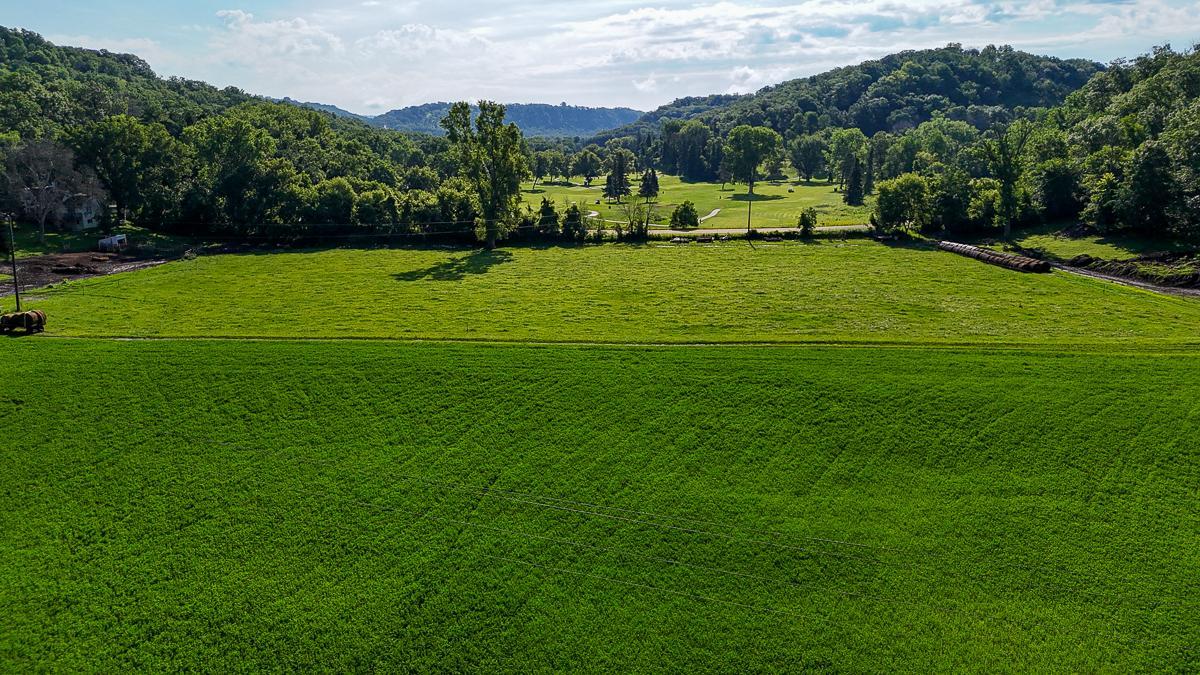 dji_fly_20250708_085930_0567_1752014744579_photo.jpg