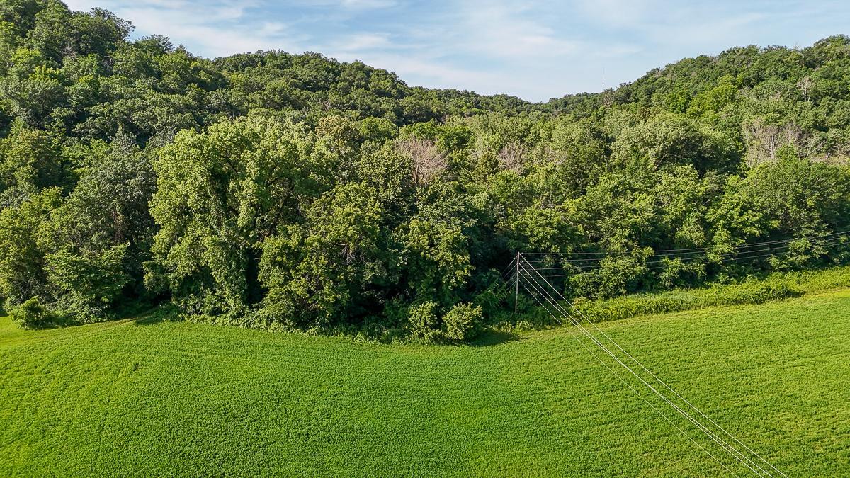 dji_fly_20250708_085950_0570_1752014743367_photo.jpg