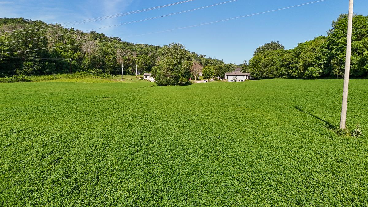 dji_fly_20250708_090004_0572_1752014742475_photo.jpg