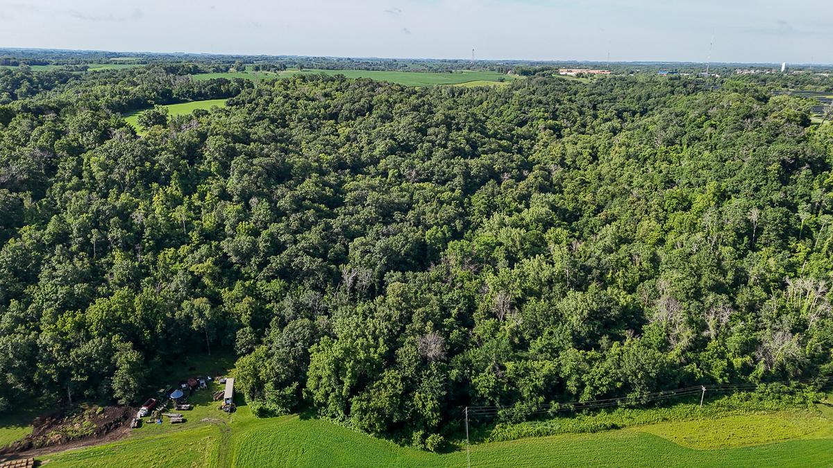 dji_fly_20250708_090038_0577_1752014740284_photo.jpg
