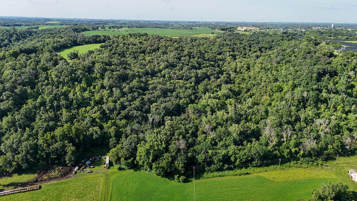 dji_fly_20250708_090040_0578_1752014739904_photo.jpg