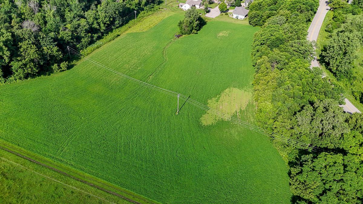dji_fly_20250708_085730_0555_1752014749827_photo.jpg