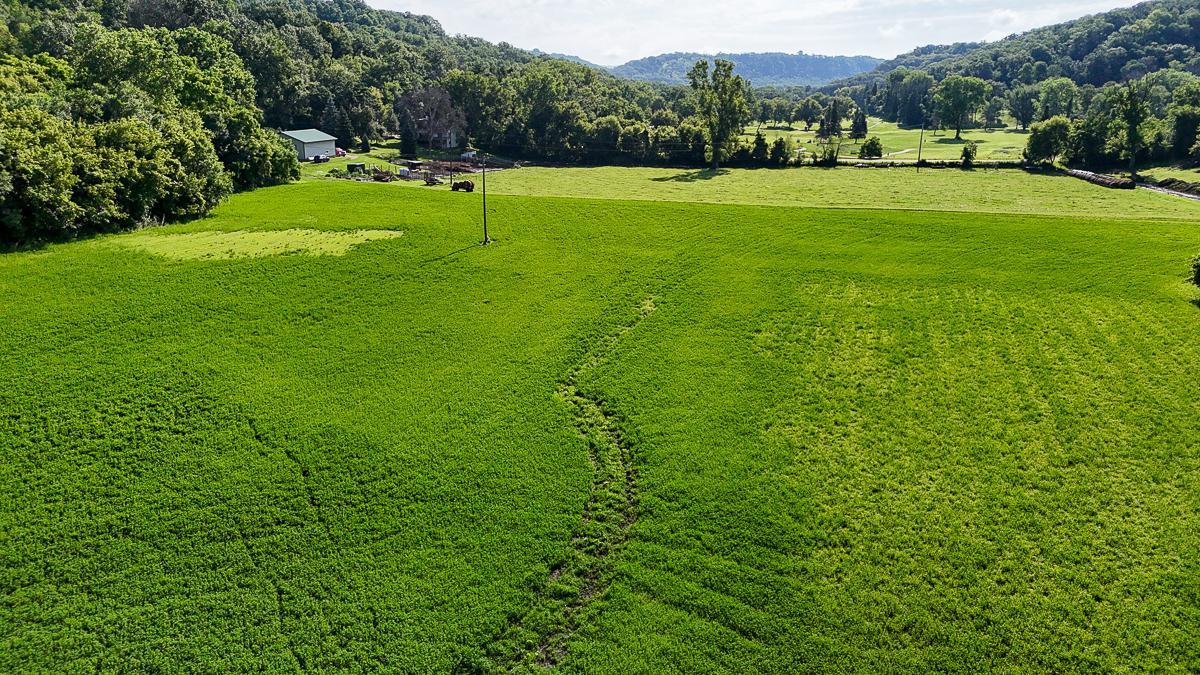 dji_fly_20250708_085922_0564_1752014745840_photo.jpg