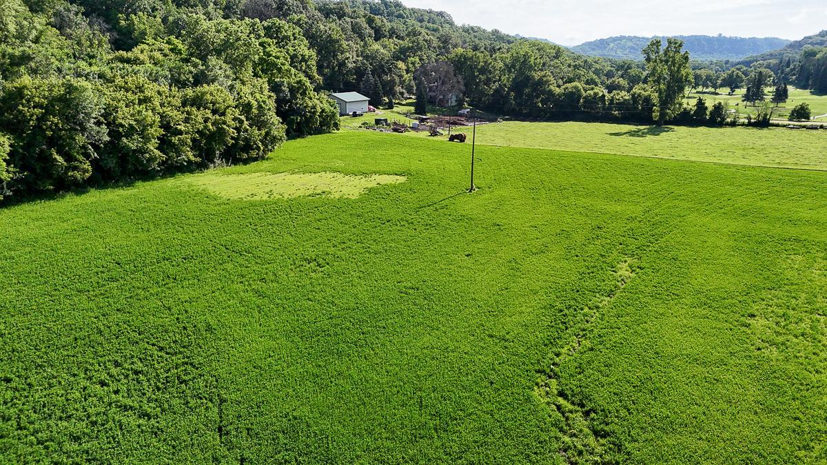 dji_fly_20250708_085924_0565_1752014745420_photo.jpg