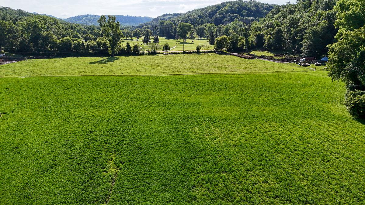 dji_fly_20250708_085928_0566_1752014744996_photo.jpg