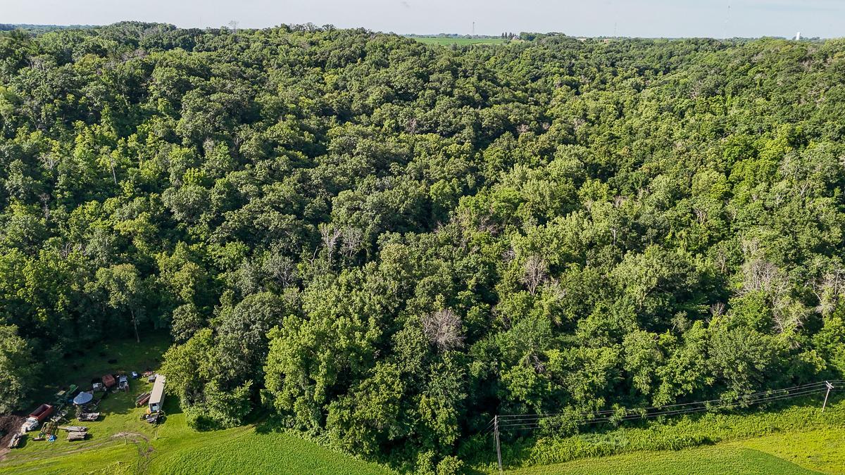 dji_fly_20250708_090034_0576_1752014740715_photo.jpg