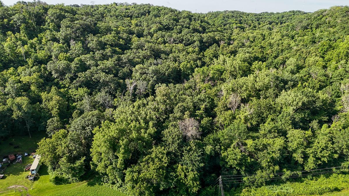 dji_fly_20250708_090028_0575_1752014741188_photo.jpg