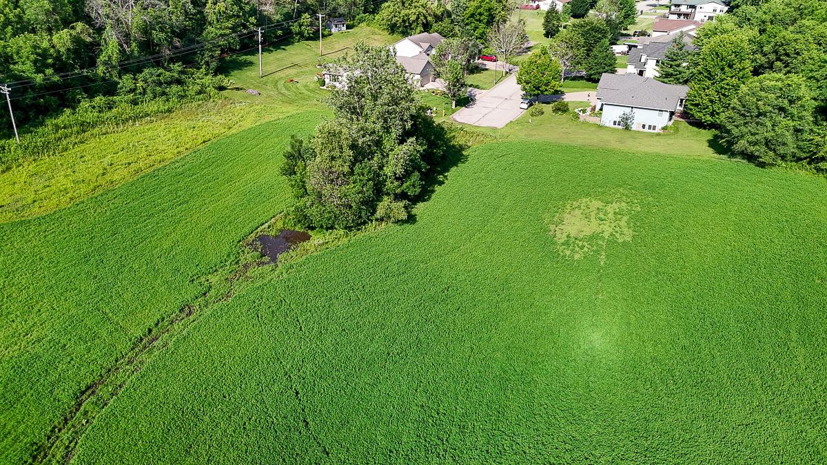 dji_fly_20250708_085742_0556_1752014749324_photo.jpg