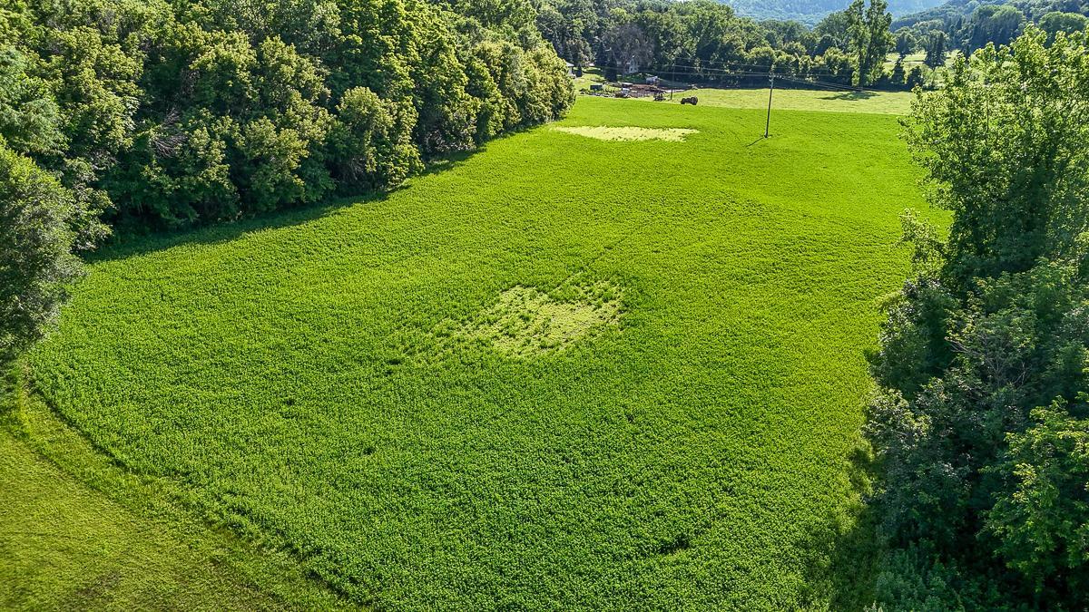 dji_fly_20250708_085858_0561_1752014747138_photo.jpg