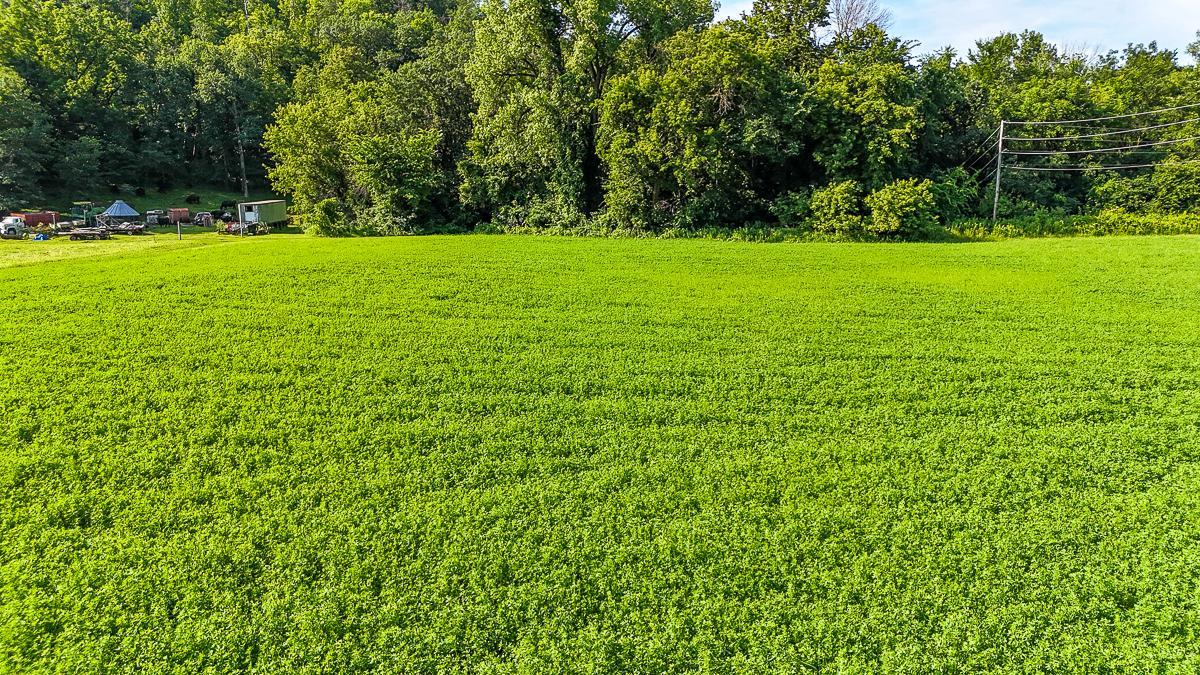 dji_fly_20250708_090002_0571_1752014742934_photo.jpg
